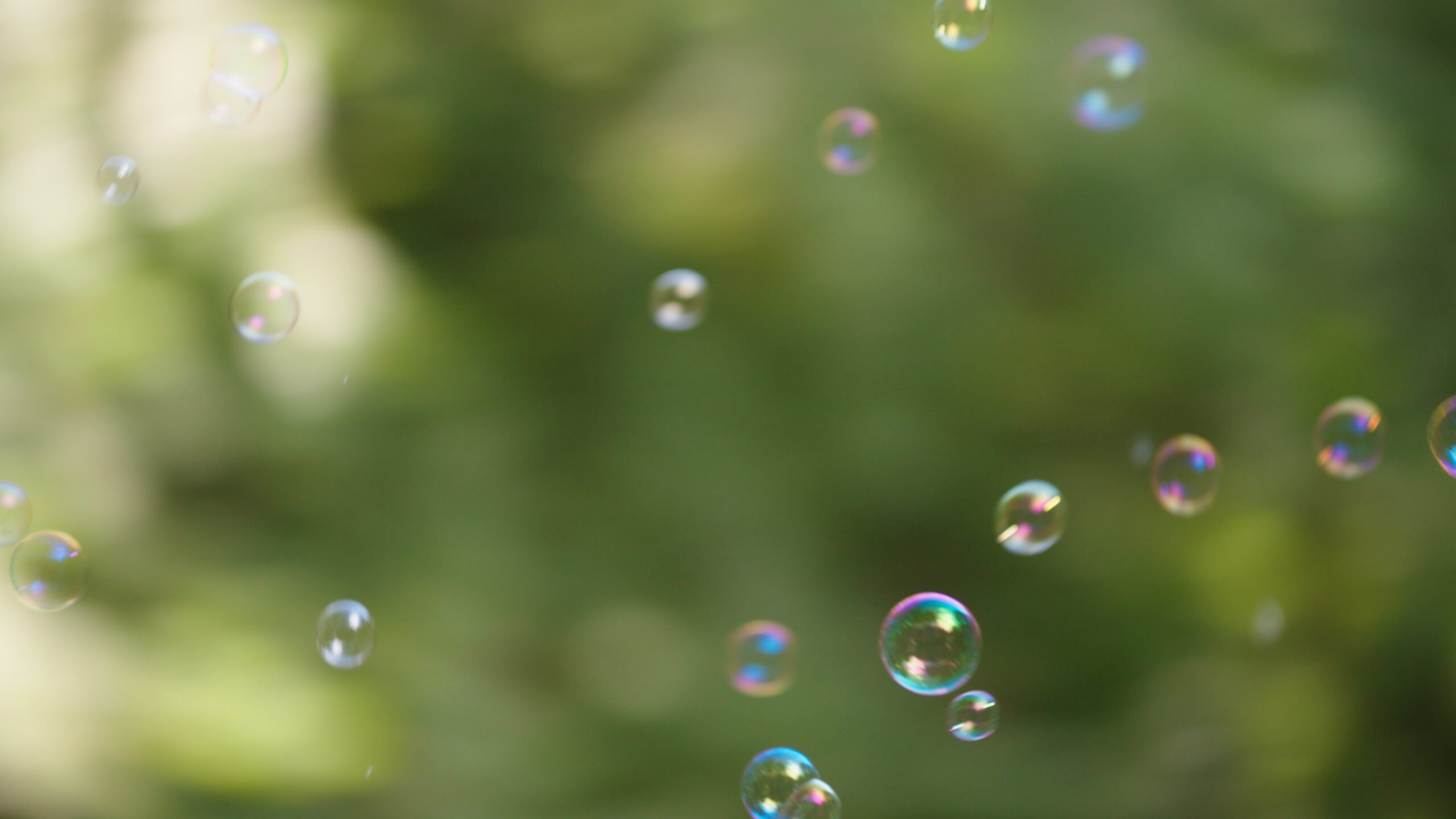 Still 2025-12-26 001120_2.61.1