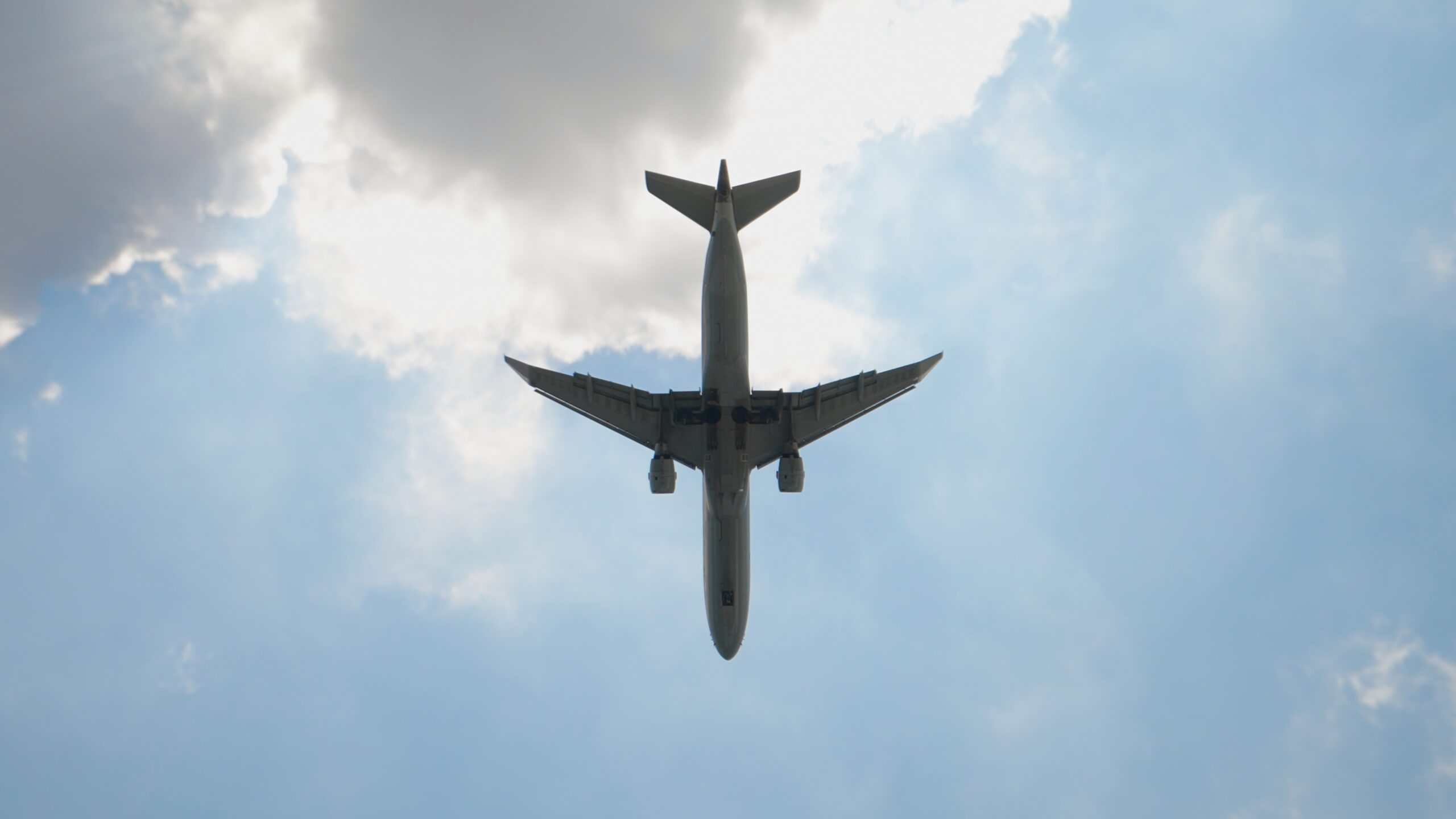 Still 2025-12-26 001120_3.5.1